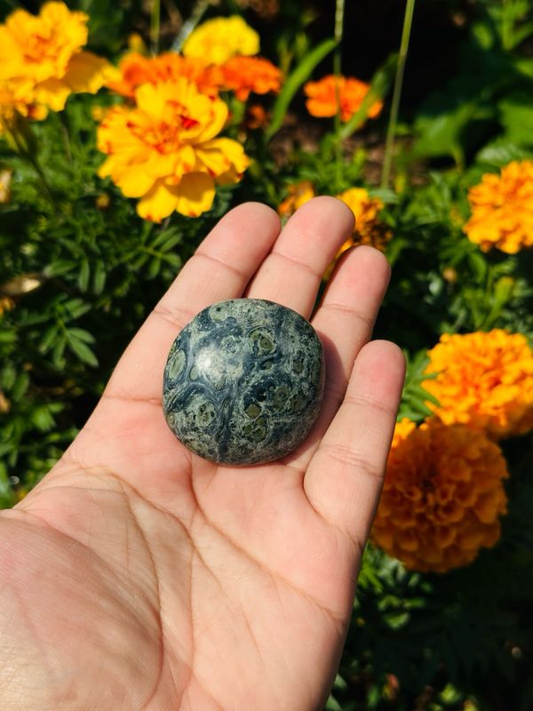 Kambaba Jasper Palm Stone