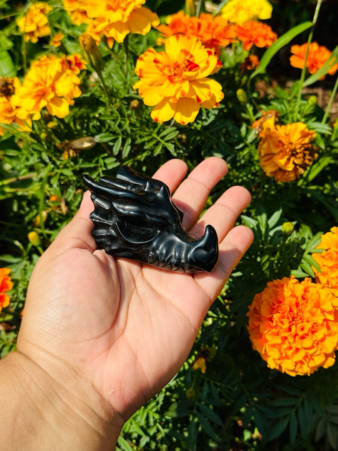 Obsidian Dragon Skull