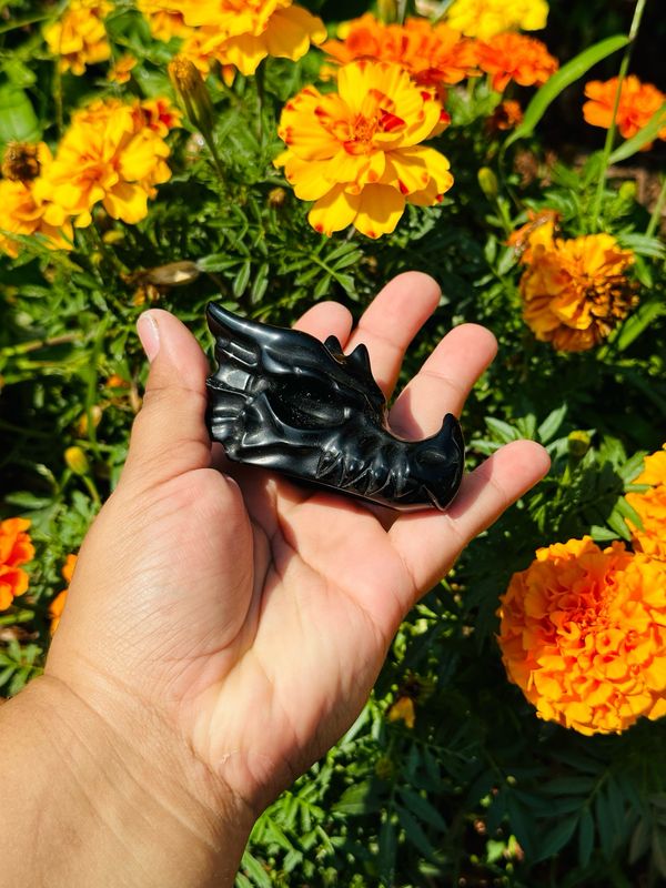 Obsidian Dragon Skull