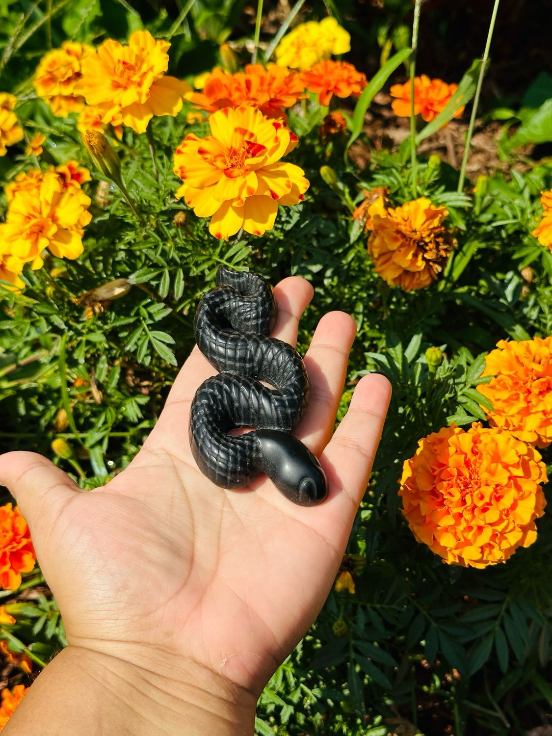 Obsidian Snake Obsidian Snake
