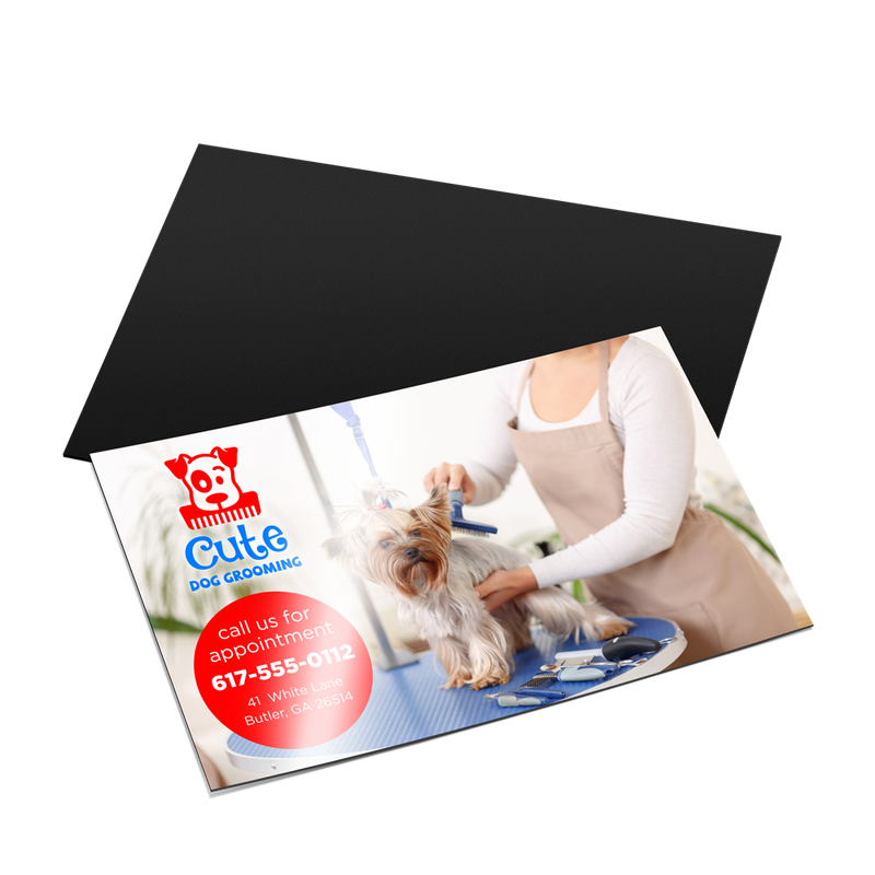 Standard Magnets Standard Magnets