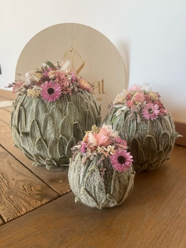 Set bollen