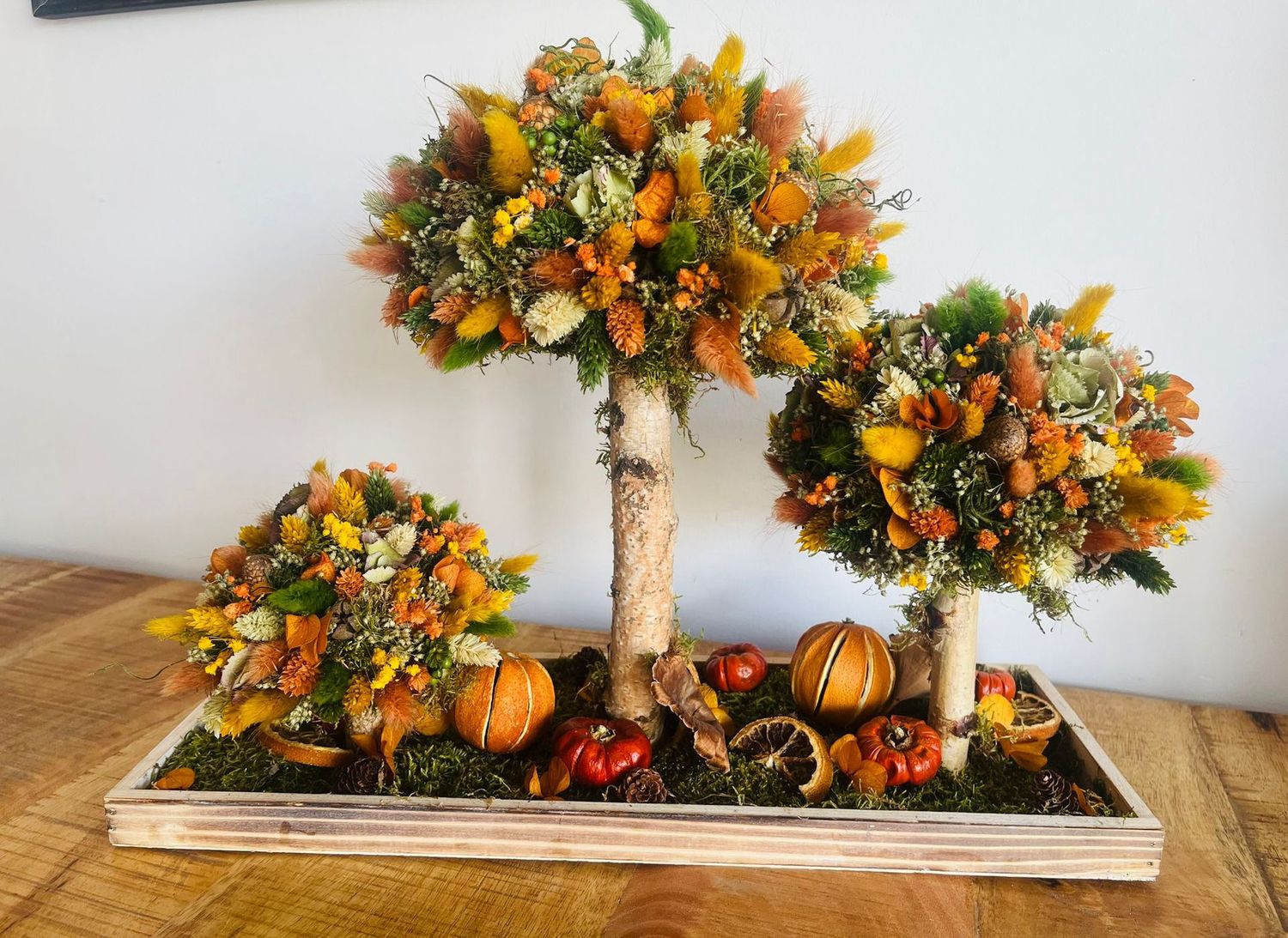 Herfst boompjes Herfst boompjes