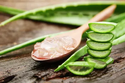 Aloe Vera Products