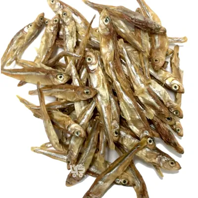 Dilis Tuyo (Dried Smelt Fish) From Philippines - 100g