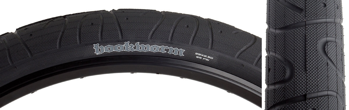 hookworm 29