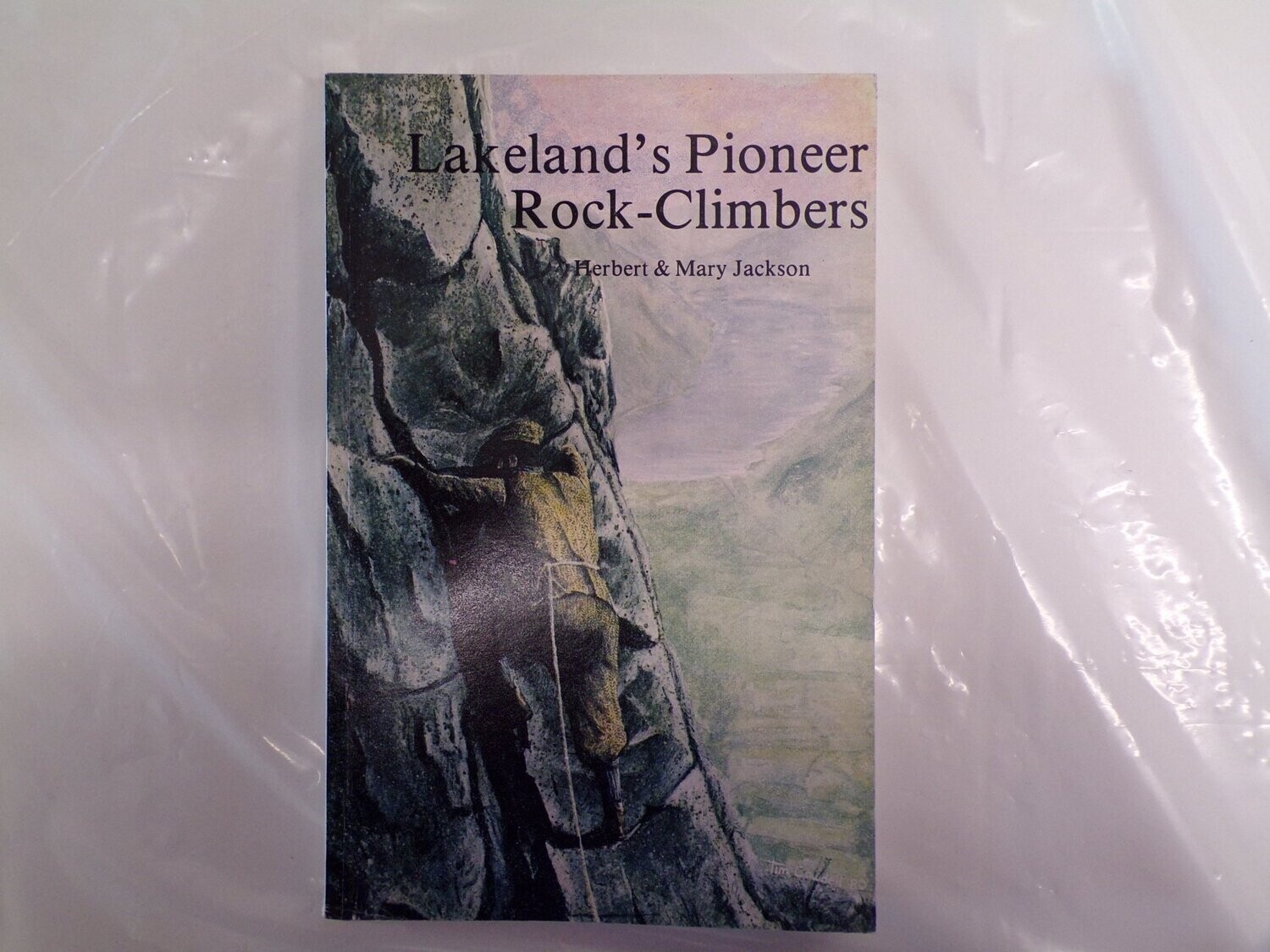 Lakeland's Pioneer Rock Climbers