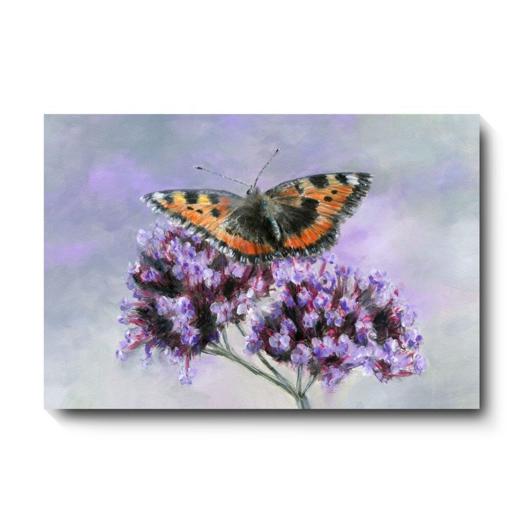 Small Tortoiseshell - canvas print by David Pooley