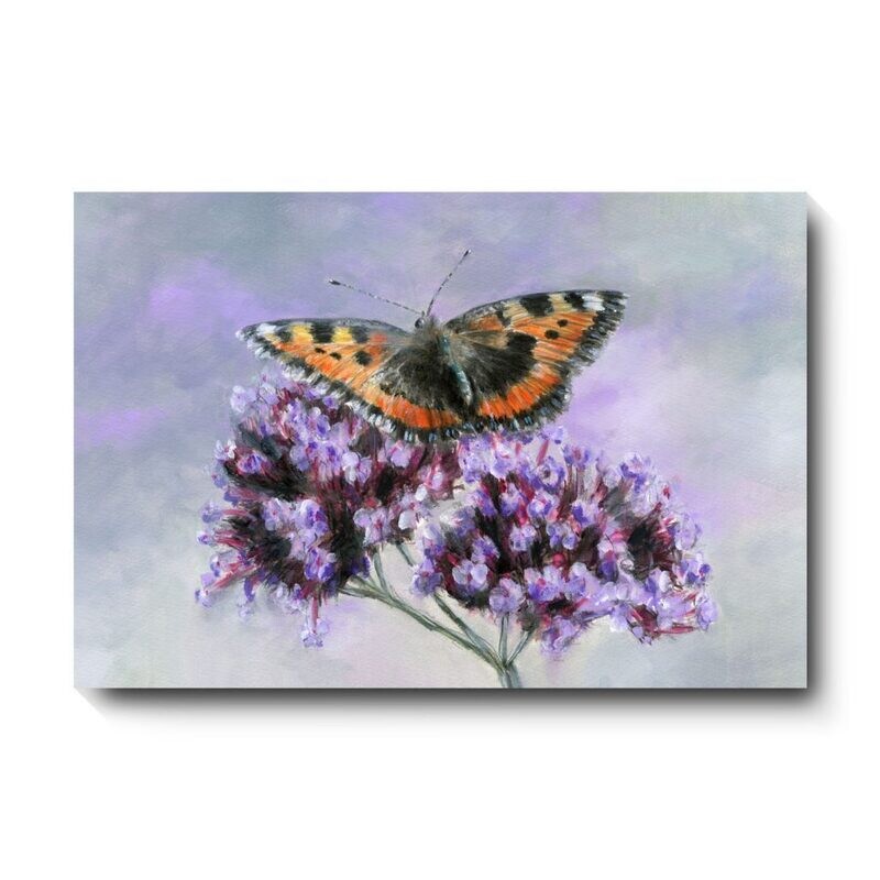 Small Tortoiseshell - canvas print by David Pooley