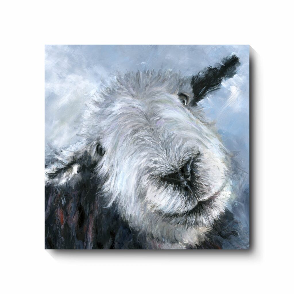 Little Clem - canvas print by David Pooley