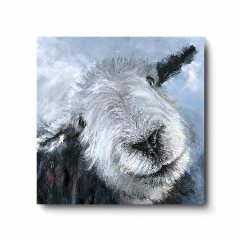 Little Clem - canvas print by David Pooley