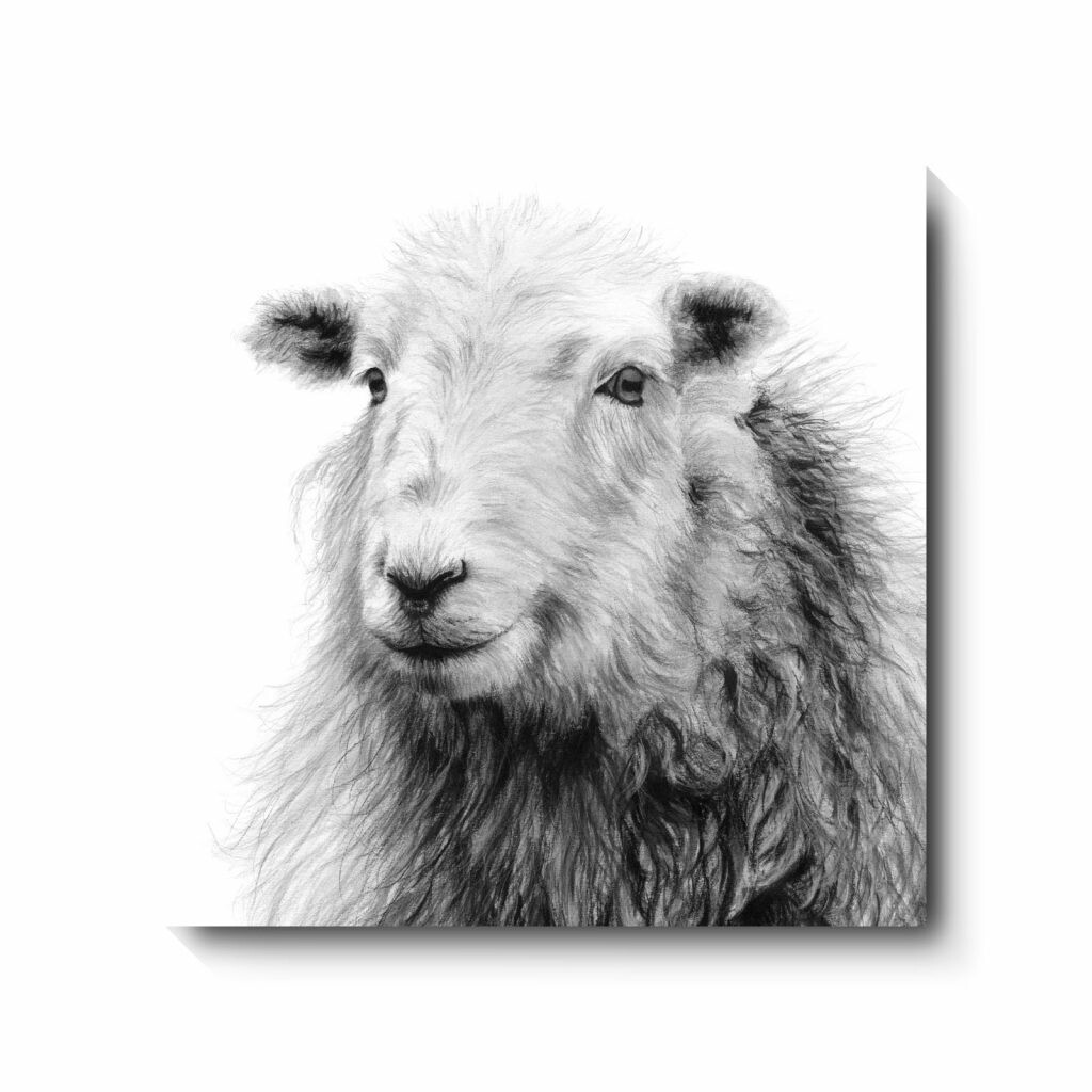 Agnes - canvas print by David Pooley