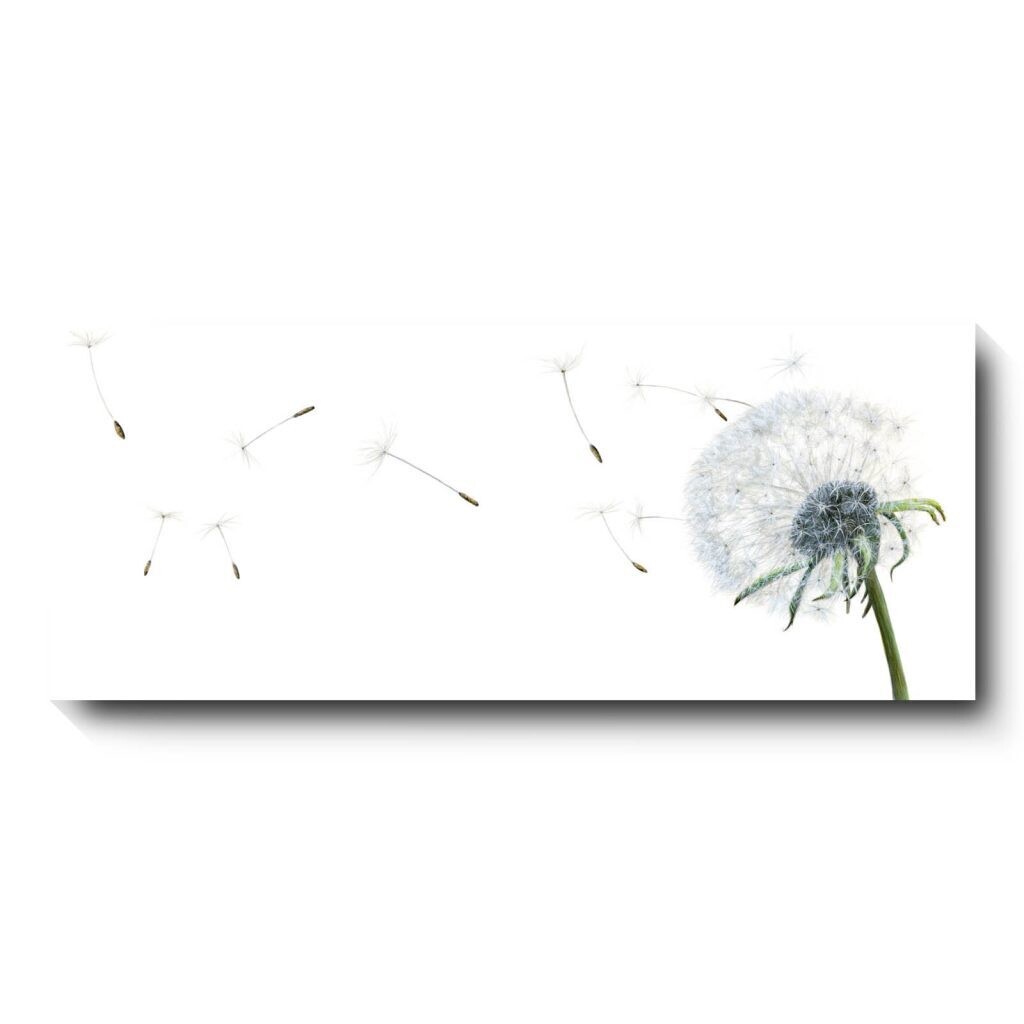 Blowing In The Wind - canvas print by David Pooley
