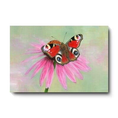 Peacock Butterfly - canvas print by David Pooley