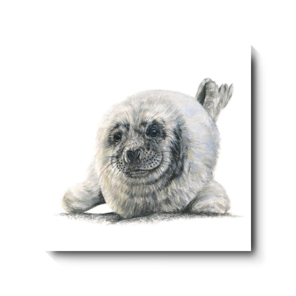 What's up Pup - canvas print by David Pooley