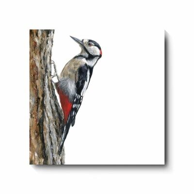 Great Spotted Woodpecker - canvas print by David Pooley