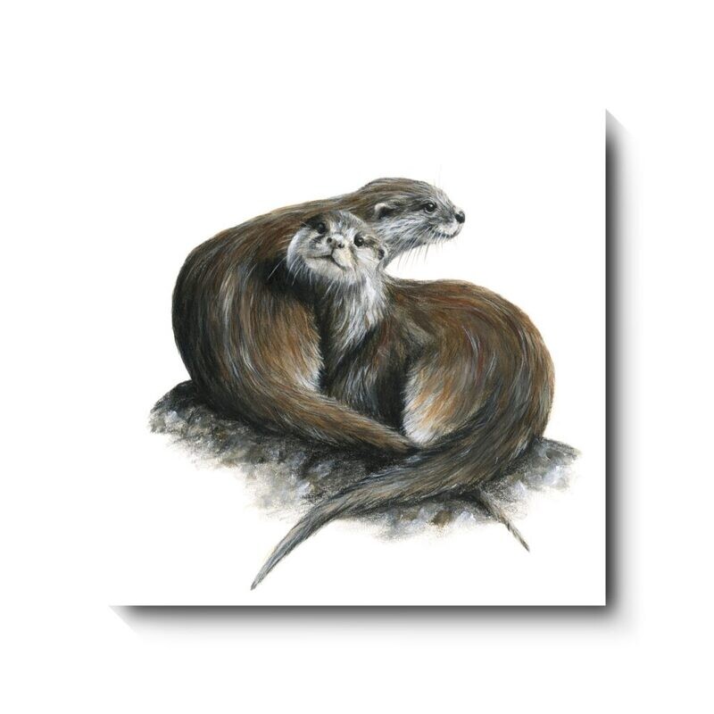 Cuddle Up - canvas print by David Pooley
