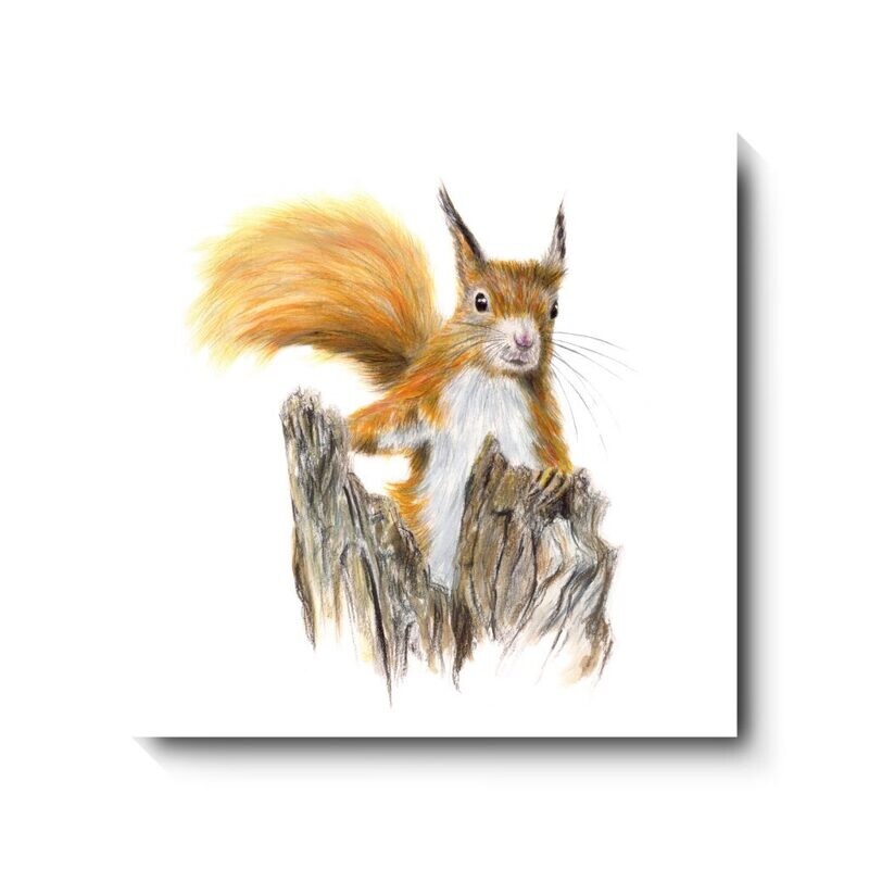 Bushy - canvas print by David Pooley