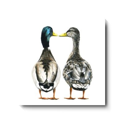I'm Quackers About You - canvas print by David Pooley