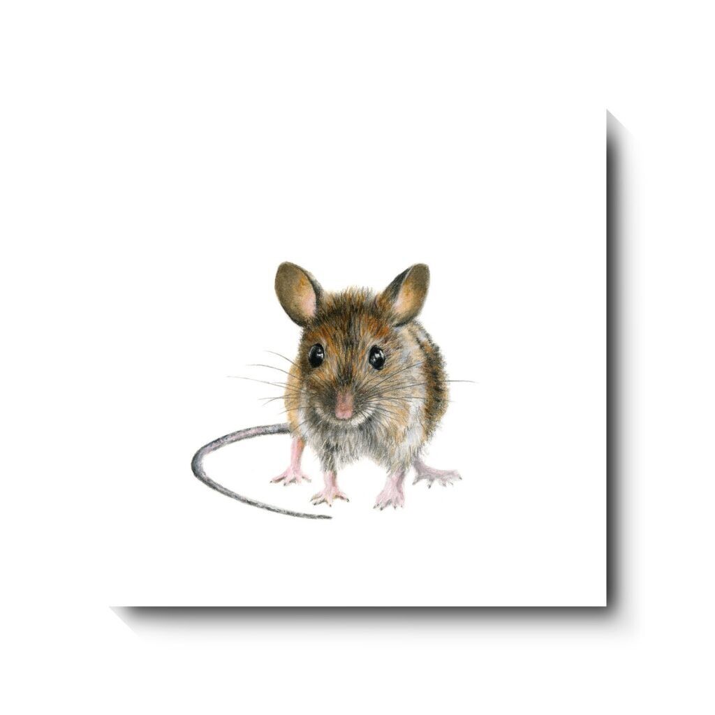 Woody - canvas print by David Pooley