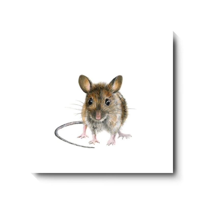 Woody - canvas print by David Pooley