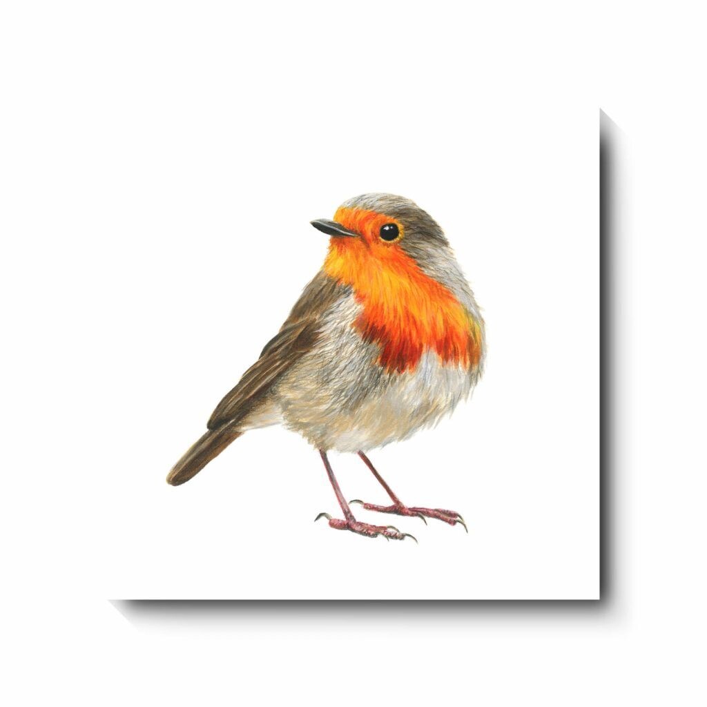 Christopher  - canvas print by David Pooley