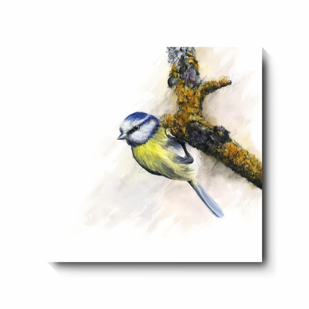 Twitcher - canvas print by David Pooley