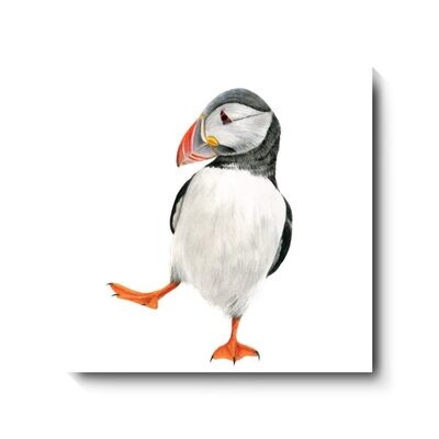Huffin n Puffin - canvas print by David Pooley