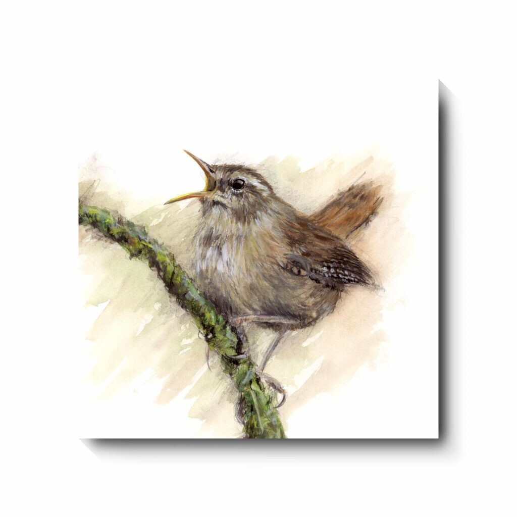 Chirpy Chirpy Cheep Cheep - canvas print by David Pooley