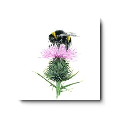 Bumble - canvas print by David Pooley