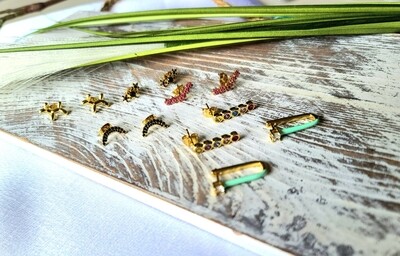 Stud Earrings