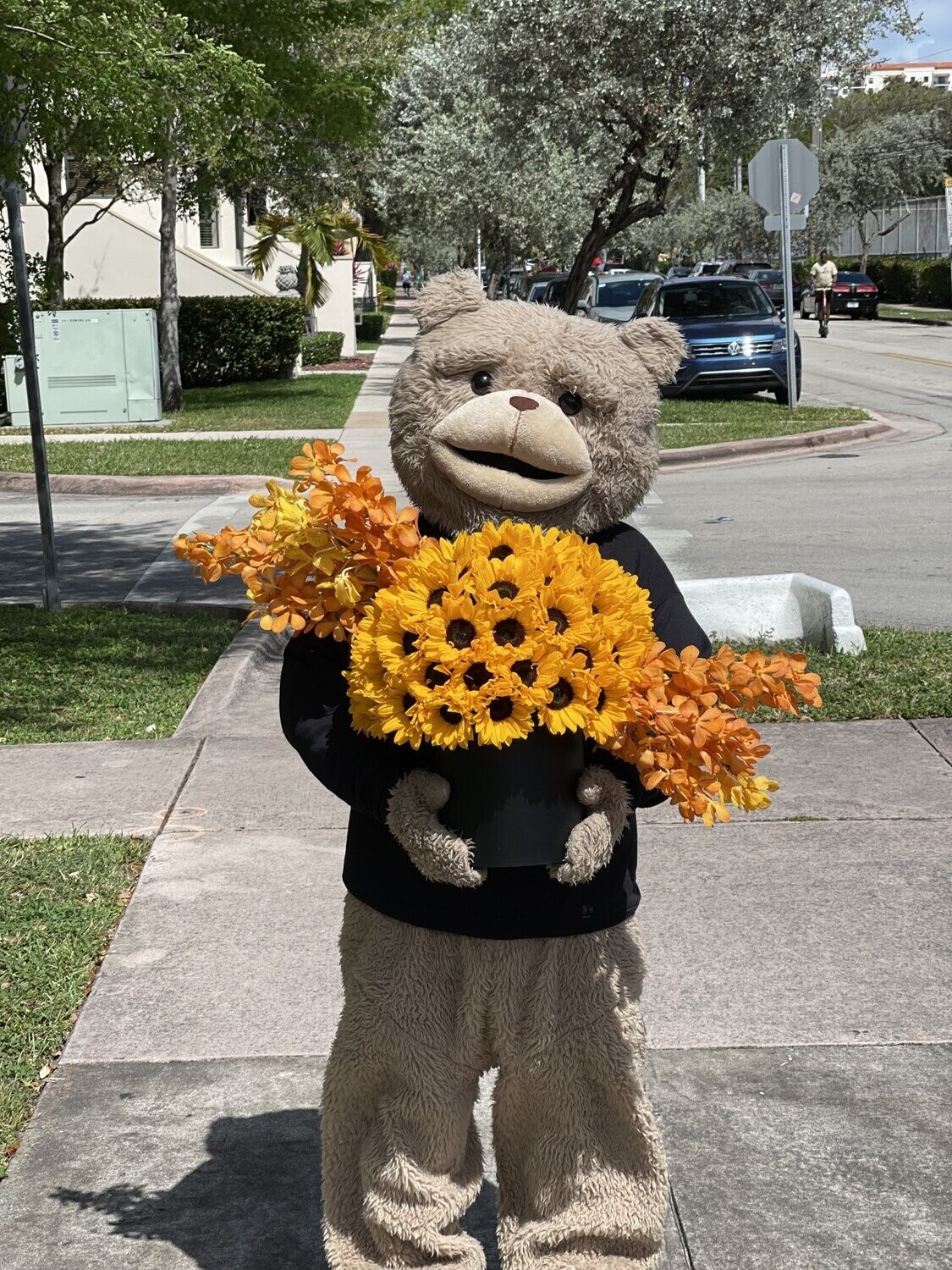 Girasol In Love