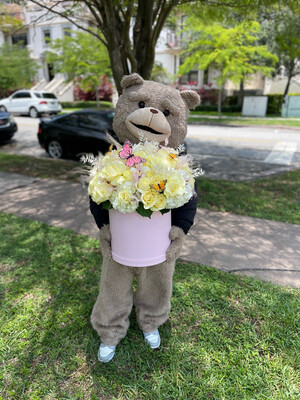 Mariposario Mariposario