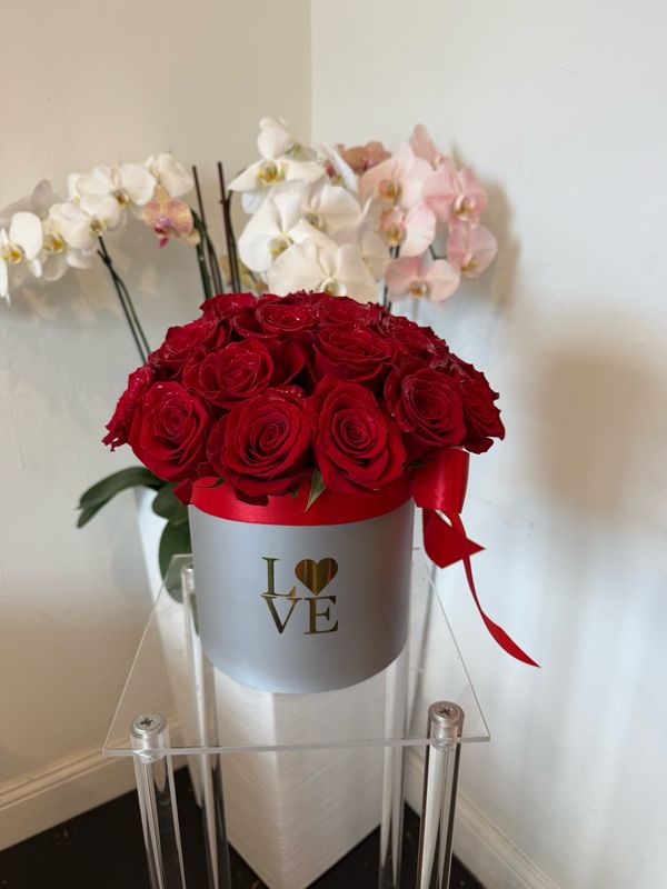 L❤️ve