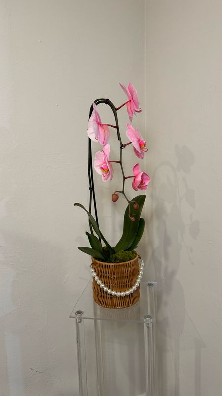 Orquídea única