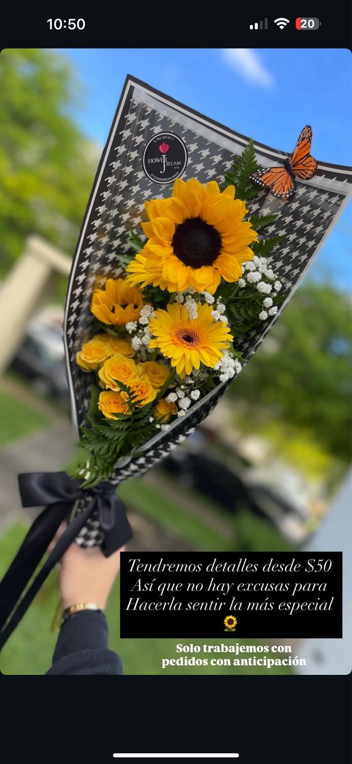 Small sunflower