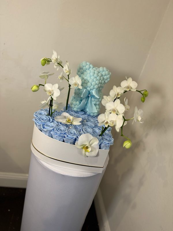 Dream bear preserved