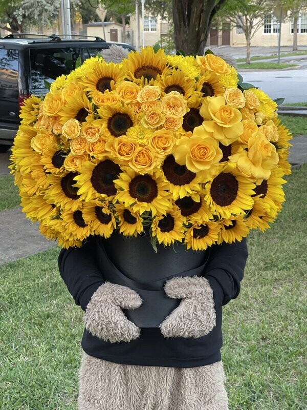 Sunflower Dream