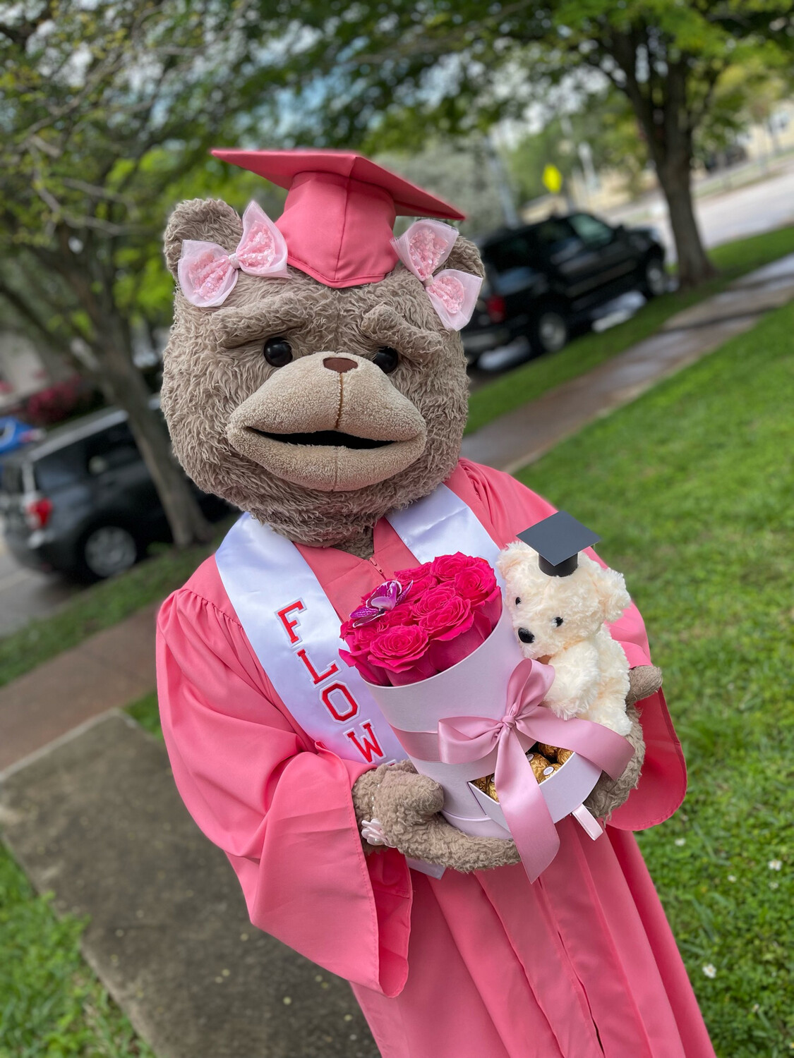 Graduation Dream Bear