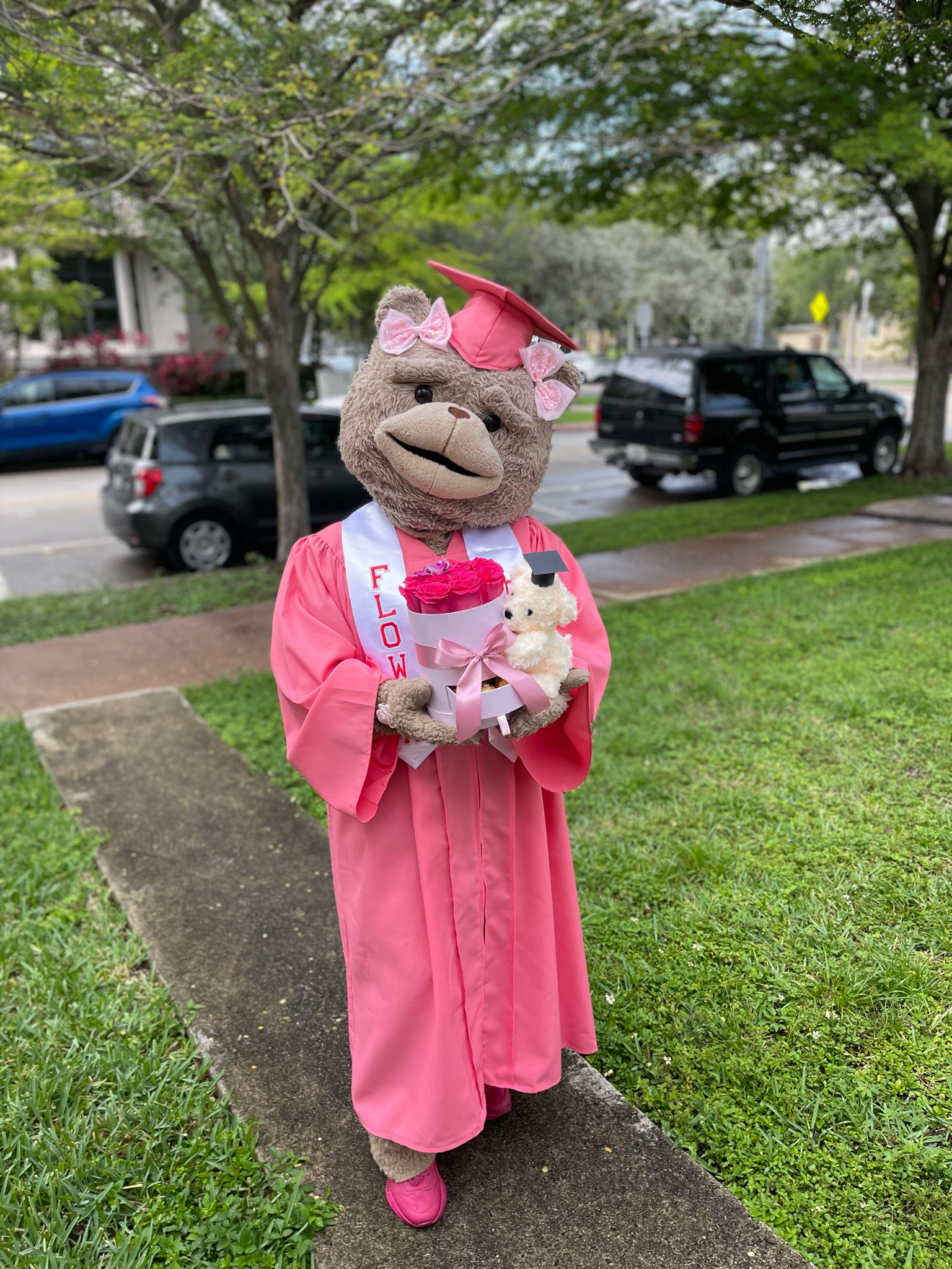 Graduation Dream Bear