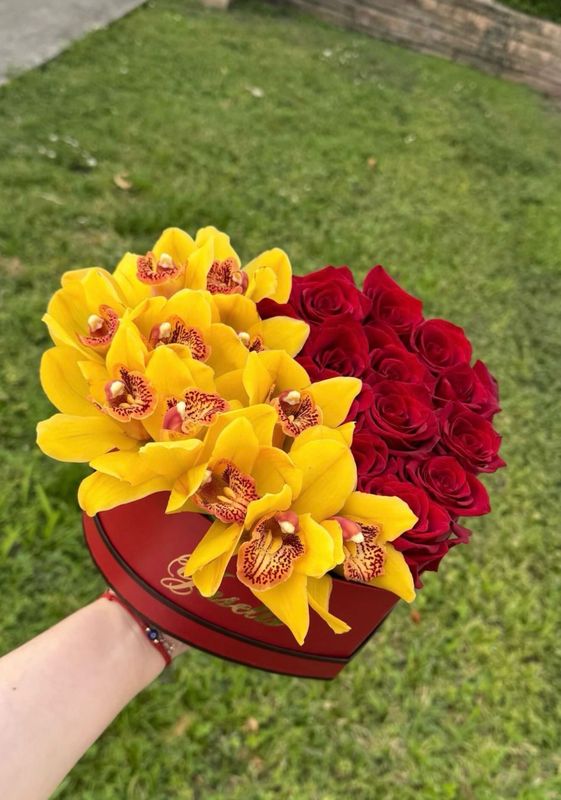 Blooming Sunshine