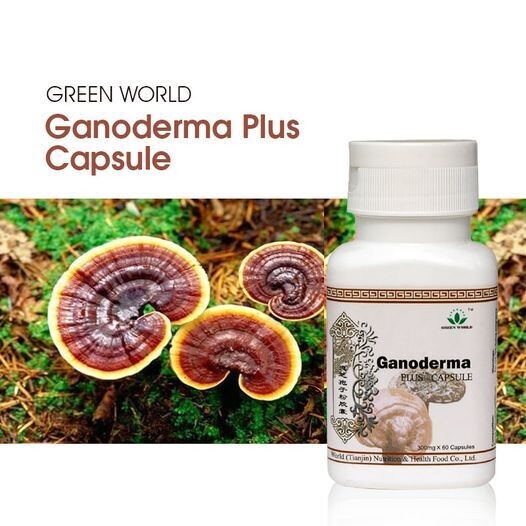 ​Ganoderma Plus Capsule