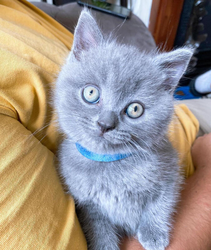 Sam