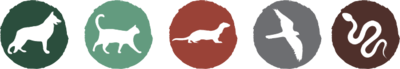 Shop by Pet