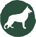 Shop for Dogs