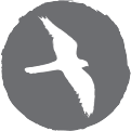 Shop for Birds of Prey/Raptors