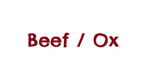 Single Protein: Beef