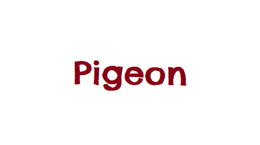 Single Protein: Pigeon