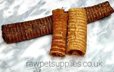 Dried BUFFALO Trachea (each) LONG