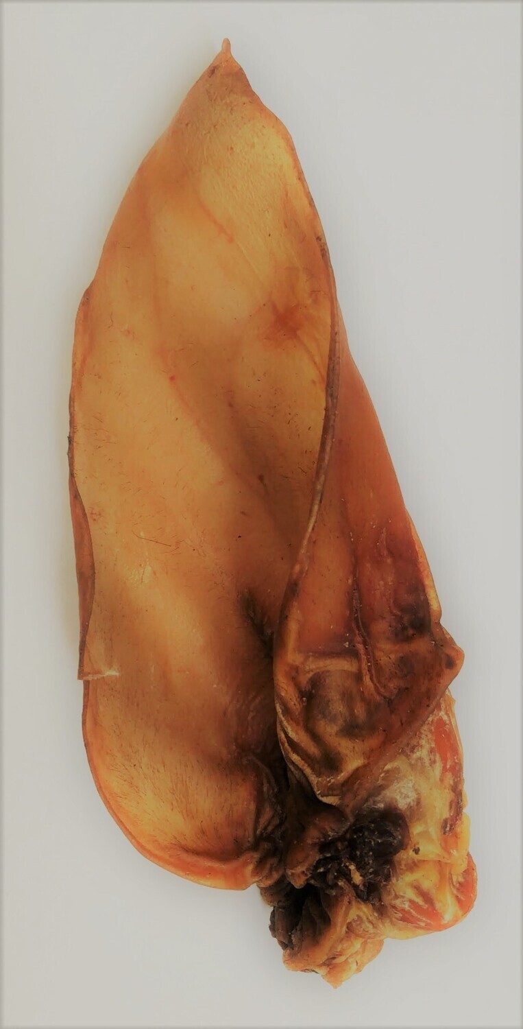 XL Cow Ear With Meat (without fur)